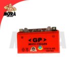 BATERIA (GEL) SCOOTER YCG200-X7