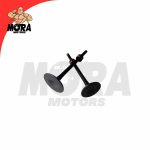 VALVULAS CG 200 CAÑON CORTO C GORRO REMARCADA