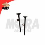 VALVULA DE ADMISION Y ESCAPE CG150-O-GS