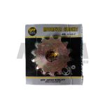 PIÑONES DE AX 100 14T