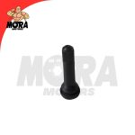 VALVULA RIN NEGRO CARRO