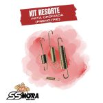 KIT RESORTE PATA CROMADO CG150-H (FREN-PIE